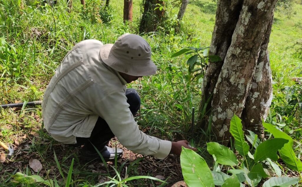 Inician trabajos para la demarcación del Área protegida del Cerro Canajagua 2 IMG 20221220 WA0029 1 e1671710856328