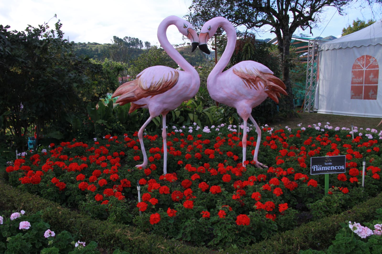 WhatsApp Image 2023 01 16 at 10.22.51 PM