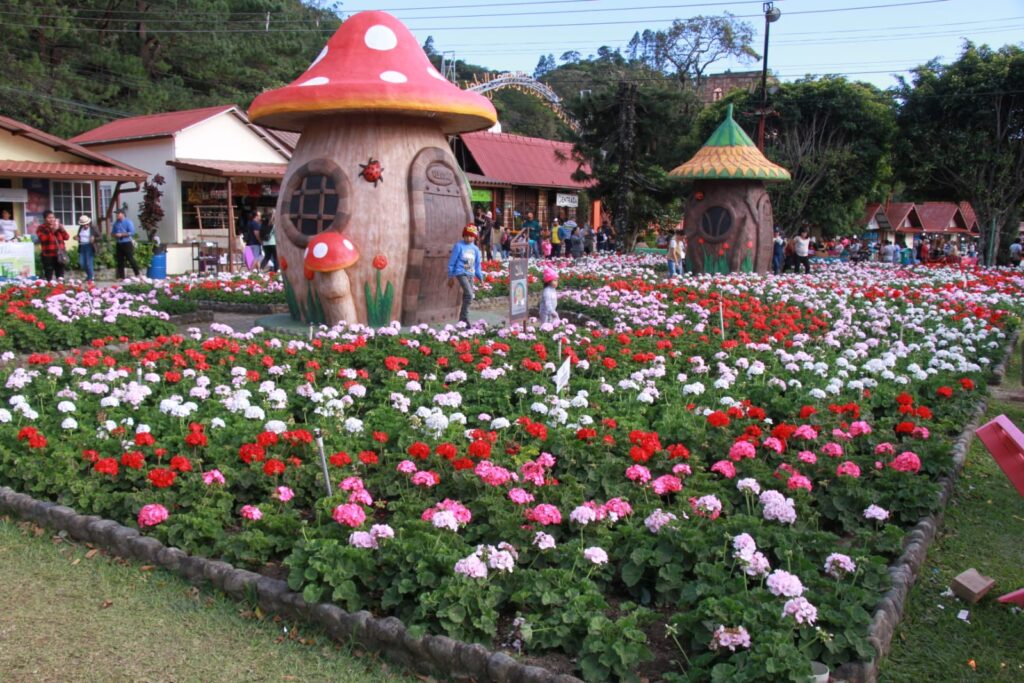 Más de 70 mil personas han visitado la Feria de las Flores y del Café en su versión de oro. 5 WhatsApp Image 2023 01 16 at 10.22.53 PM 1