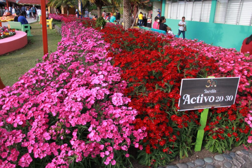 Más de 70 mil personas han visitado la Feria de las Flores y del Café en su versión de oro. 3 WhatsApp Image 2023 01 16 at 10.22.54 PM 1