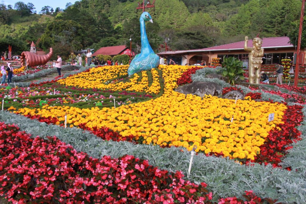 Más de 70 mil personas han visitado la Feria de las Flores y del Café en su versión de oro. 2 WhatsApp Image 2023 01 16 at 10.22.54 PM 2