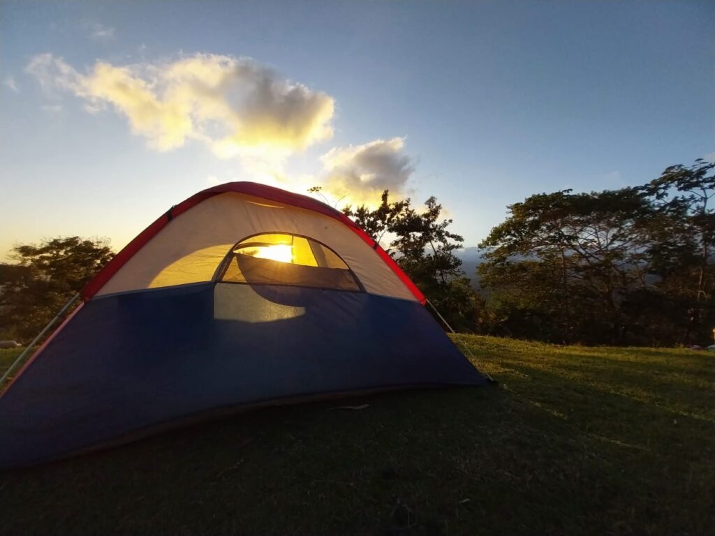 WhatsApp Image 2023 01 17 at 4.34.47 AM