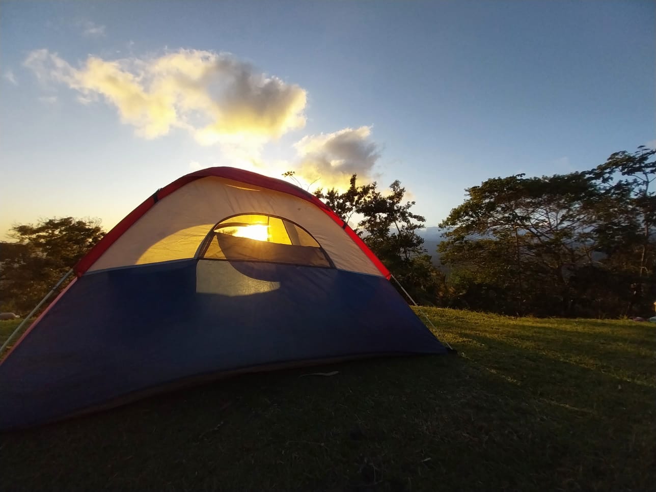 WhatsApp Image 2023 01 17 at 4.34.47 AM