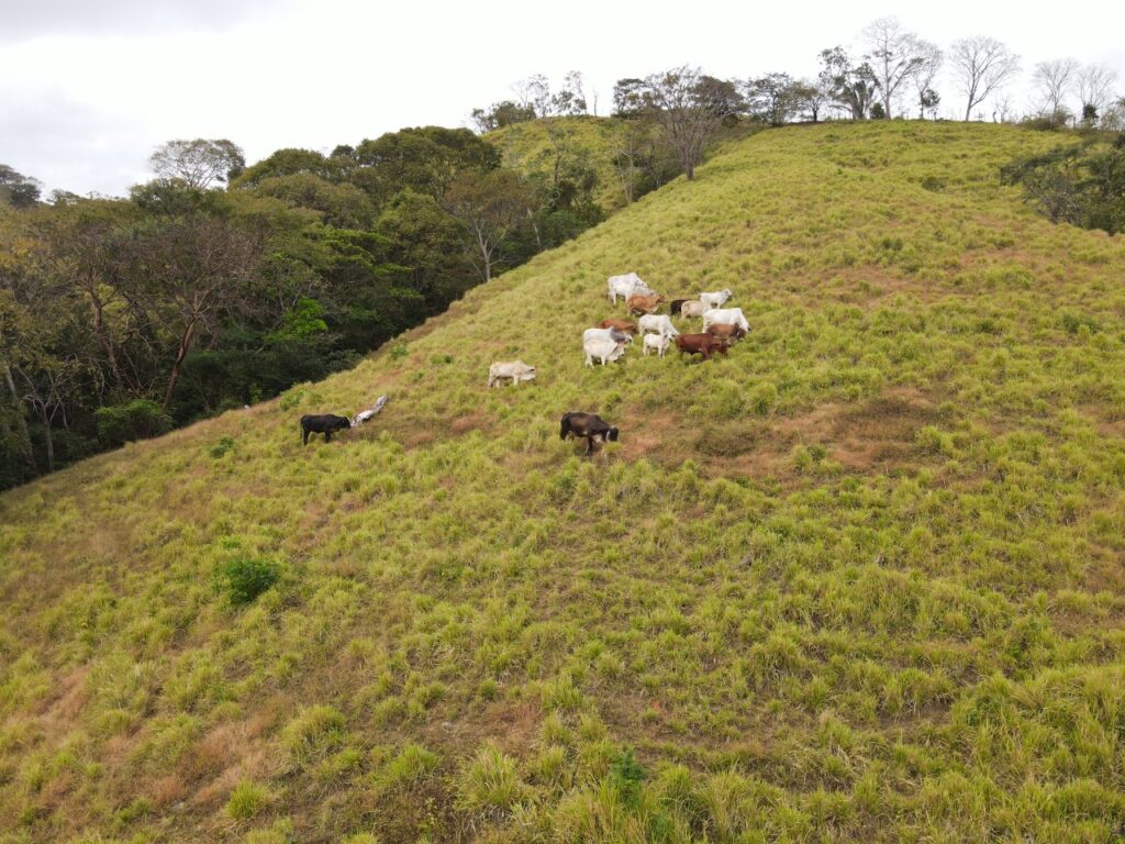 WhatsApp Image 2023 01 20 at 7.37.35 PM 1