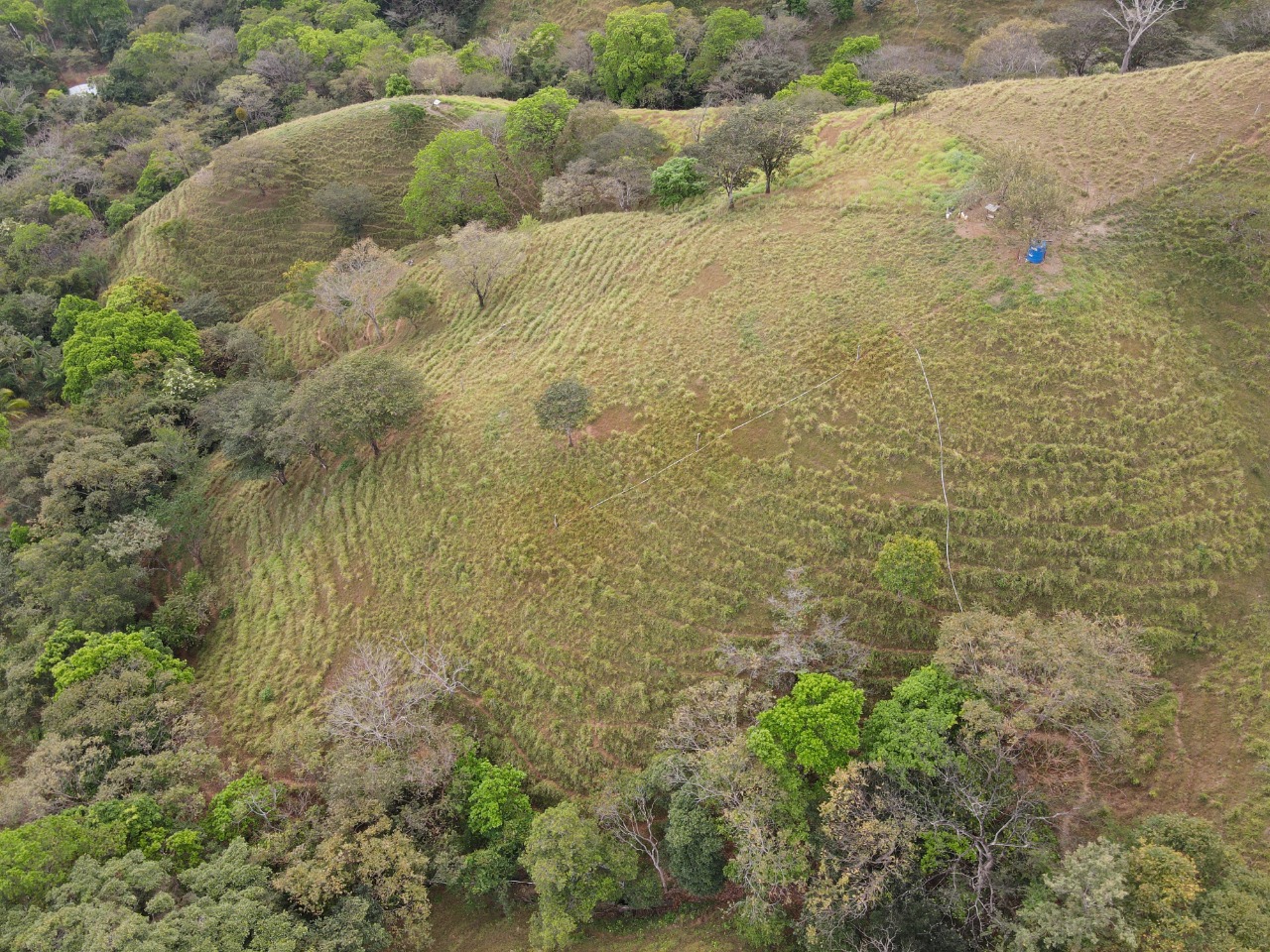 WhatsApp Image 2023 01 20 at 7.37.35 PM