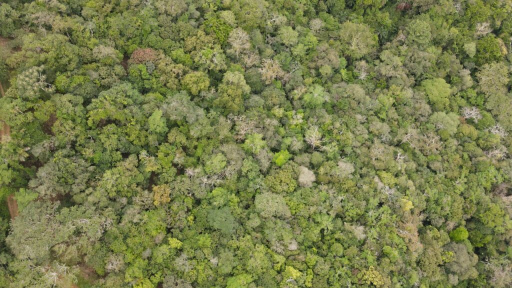 WhatsApp Image 2023 01 20 at 7.37.36 PM