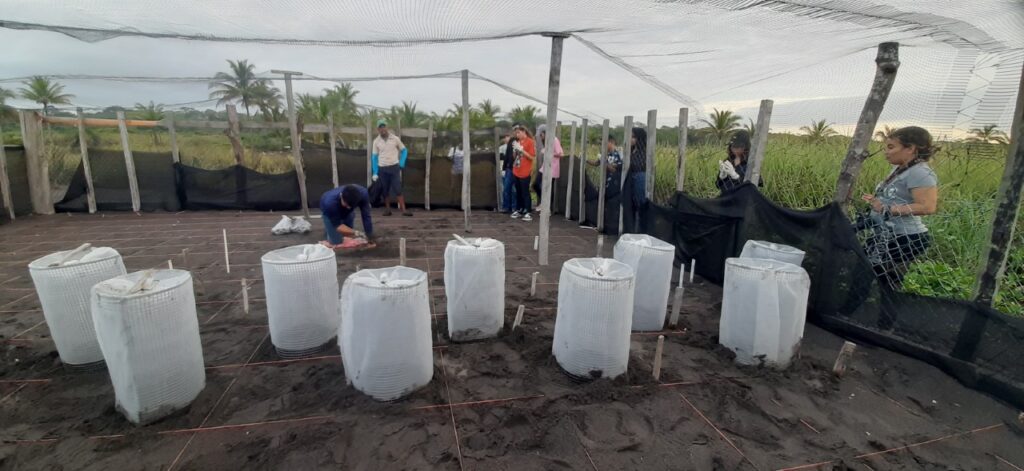 WhatsApp Image 2023 01 28 at 10.07.36 AM 1