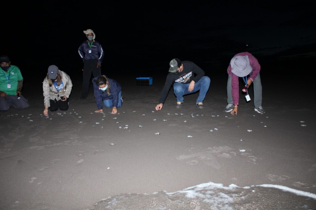 WhatsApp Image 2023 01 28 at 10.07.36 AM