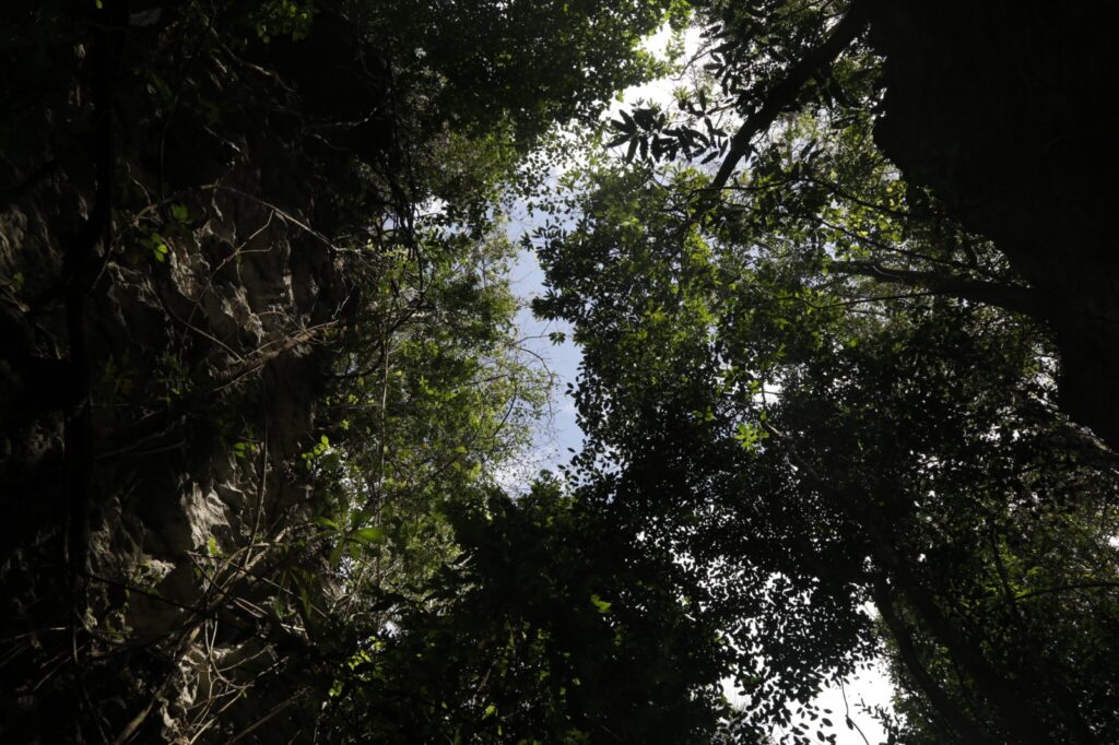 Latinex es elegida como la organización que administrará la Bolsa Panameña del Carbono, tercer componente del Mercado Nacional de Carbono de Panamá 5 WhatsApp Image 2023 01 31 at 10.19.46 AM