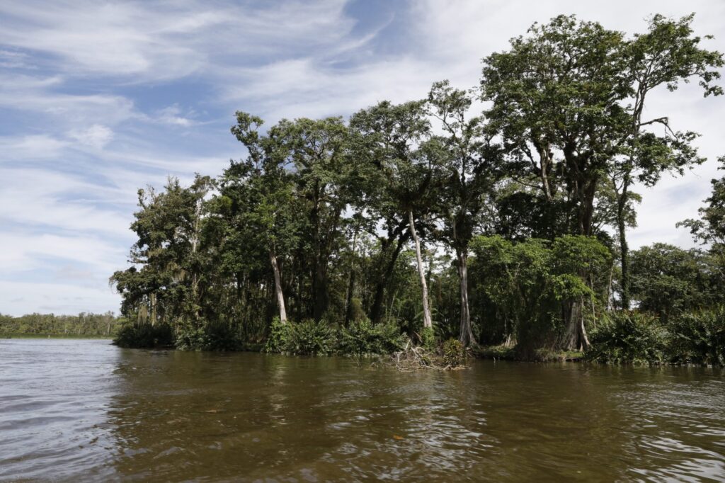 WhatsApp Image 2023 02 01 at 12.52.51 PM 1