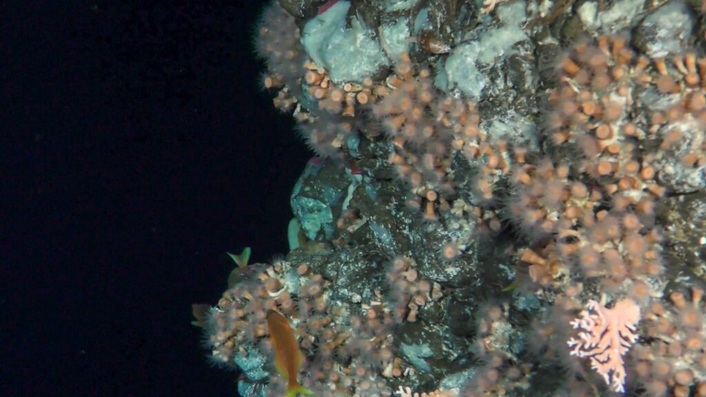 WhatsApp Image 2023 02 06 at 6.55.50 AM