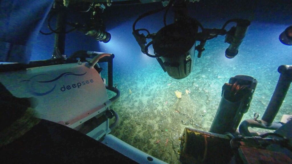 WhatsApp Image 2023 02 06 at 6.55.51 AM