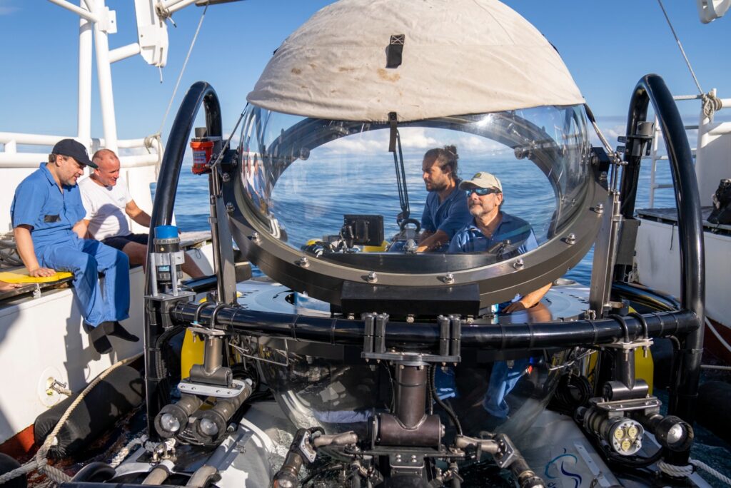 WhatsApp Image 2023 02 06 at 6.55.52 AM 3