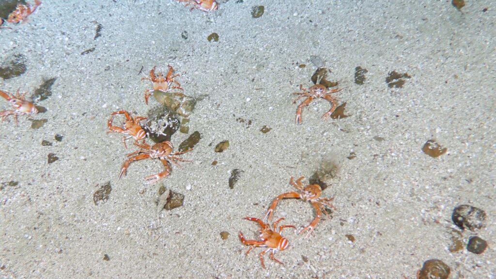 WhatsApp Image 2023 02 06 at 6.55.53 AM