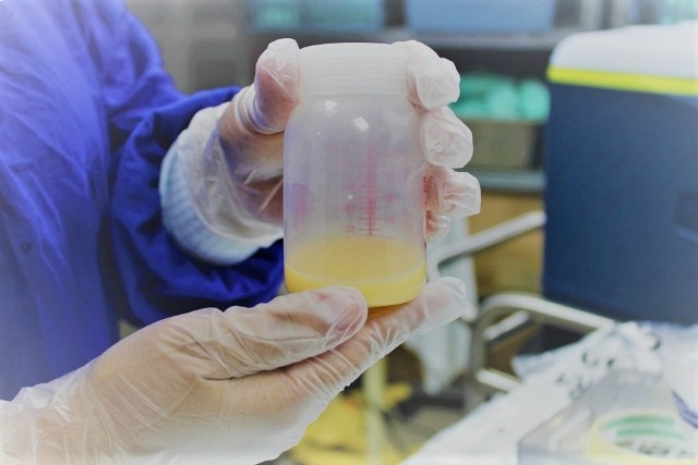 CSS insta a madres con excedente de leche a que done 2 WhatsApp Image 2023 02 10 at 3.43.31 PM