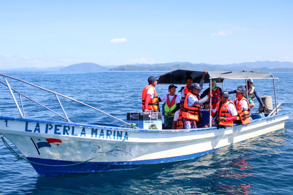 WhatsApp Image 2023 02 11 at 8.40.27 AM 2