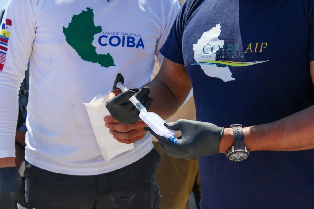 WhatsApp Image 2023 02 11 at 8.40.29 AM