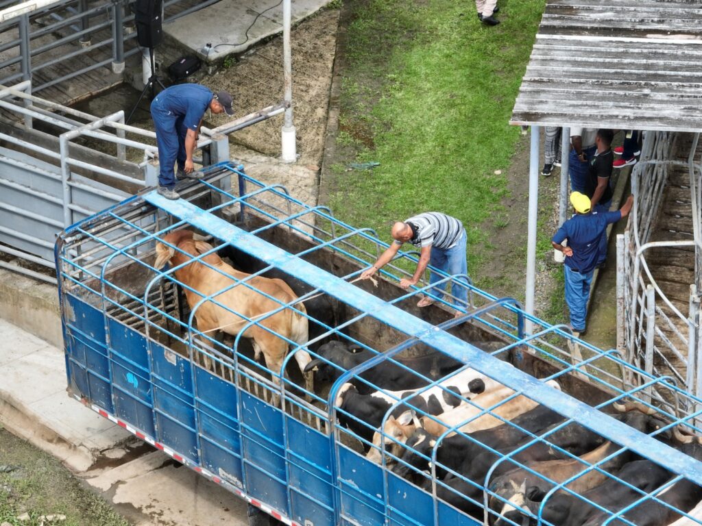 WhatsApp Image 2023 02 23 at 1.21.01 PM