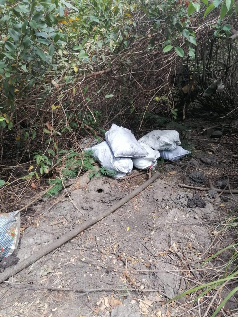 MiAMBIENTE recupera 13 sacos con carbón vegetal abandonados en los límites del Área Protegida del manglar de la Bahía de Chame 2 WhatsApp Image 2023 02 26 at 8.57.45 AM 1