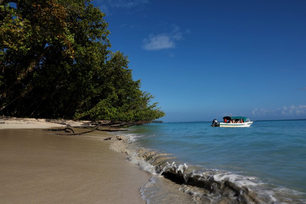 WhatsApp Image 2023 02 28 at 10.38.44 AM