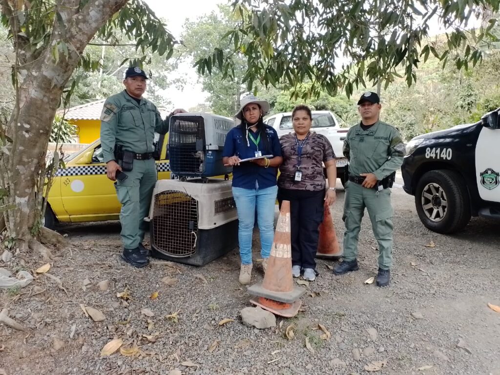 WhatsApp Image 2023 03 12 at 9.32.44 AM