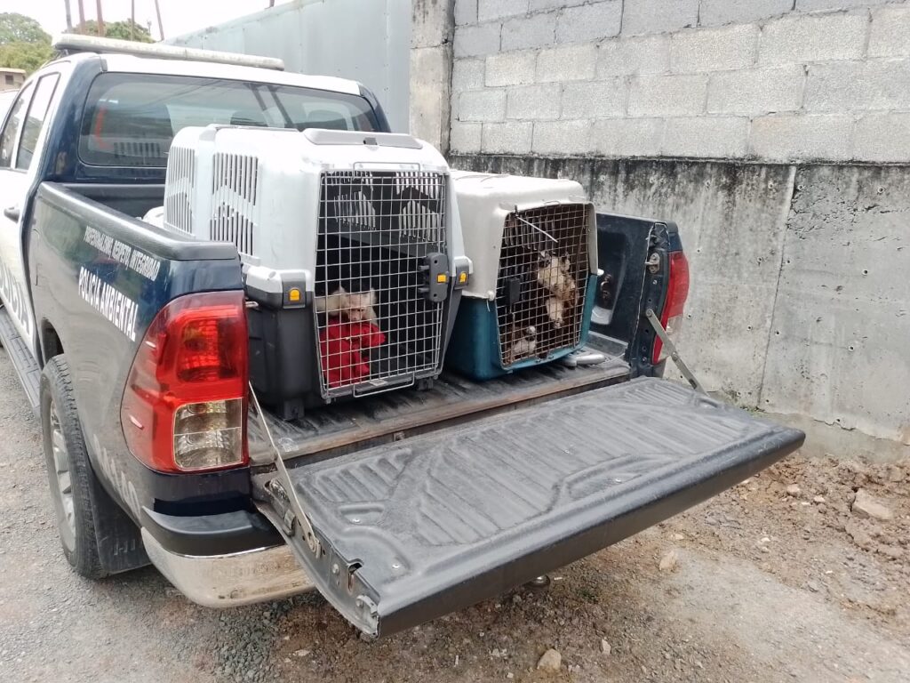 WhatsApp Image 2023 03 12 at 9.32.46 AM