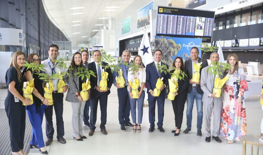 Aeropuerto de Tocumen recibe donación de 800 plantones de guayacanes 2 mas