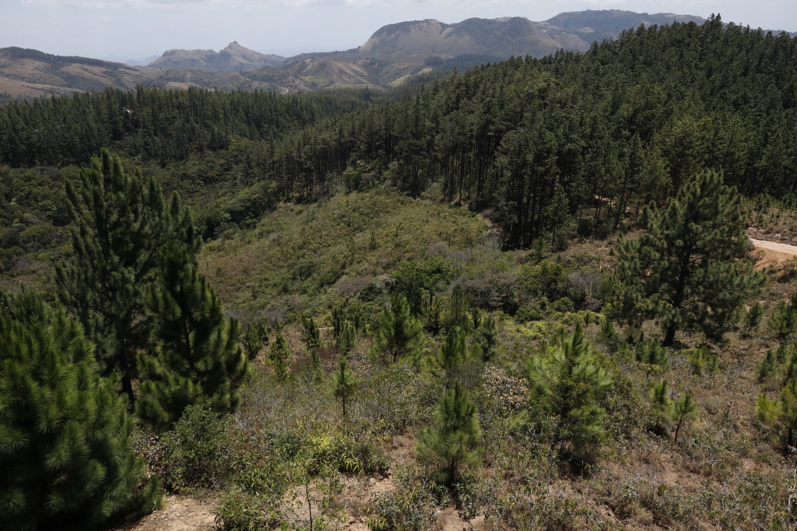 WhatsApp Image 2023 04 02 at 12.10.35 PM