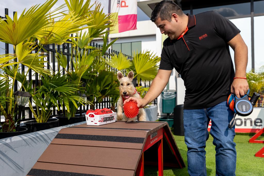 Nestlé inaugura su Pet Zone y lidera la cultura laboral Pet Friendly en Panamá 3 WhatsApp Image 2023 04 15 at 8.48.22 AM