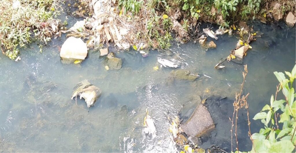 WhatsApp Image 2023 05 08 at 3.47.08 PM