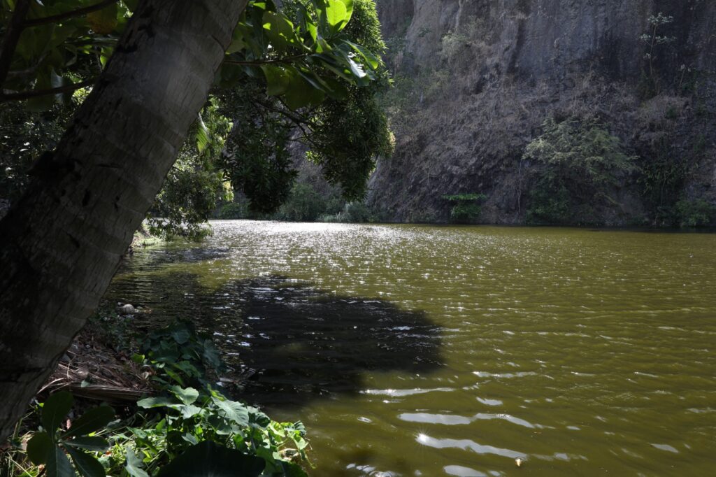 WhatsApp Image 2023 05 10 at 3.38.21 PM