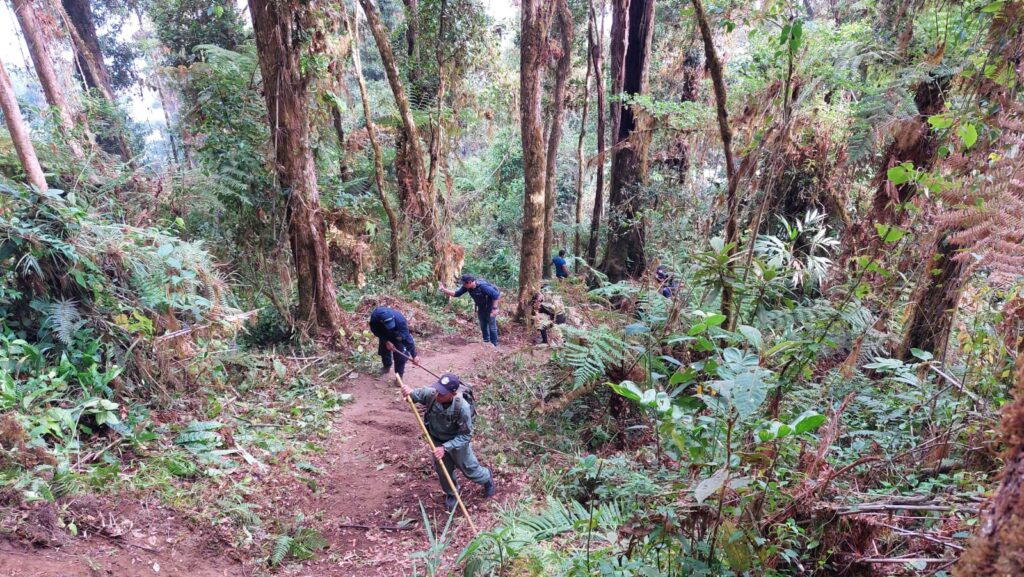 WhatsApp Image 2023 05 11 at 6.23.34 PM