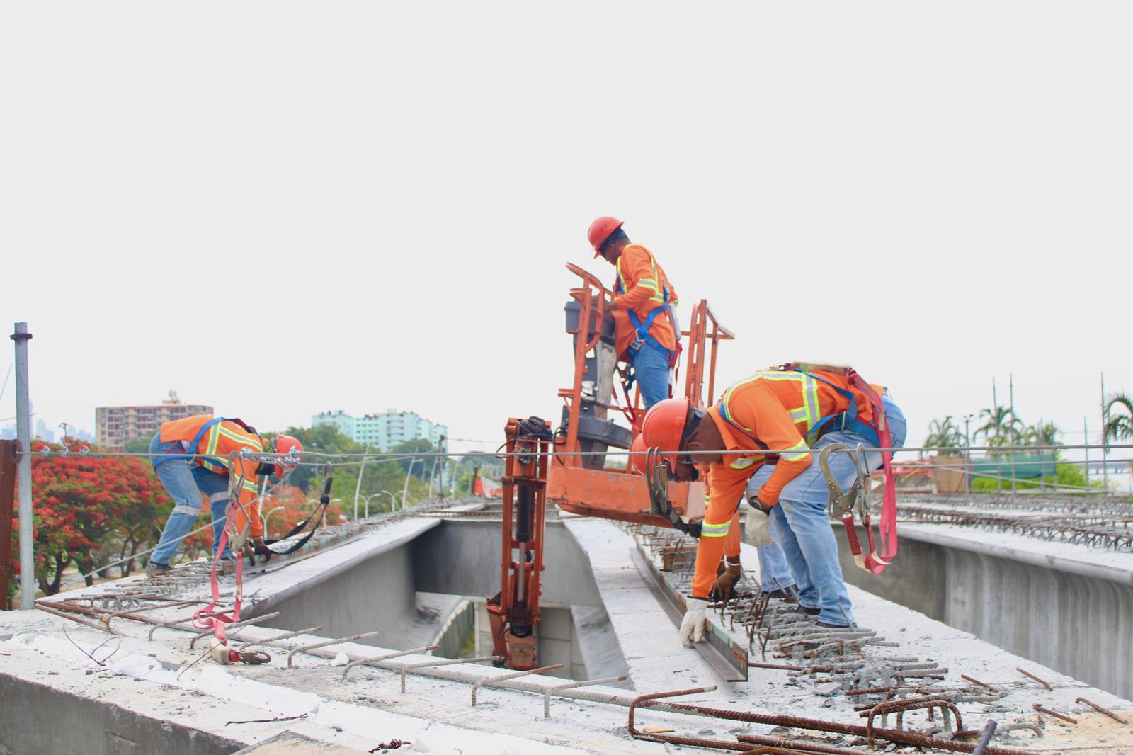 WhatsApp Image 2023 05 15 at 12.32.25 PM