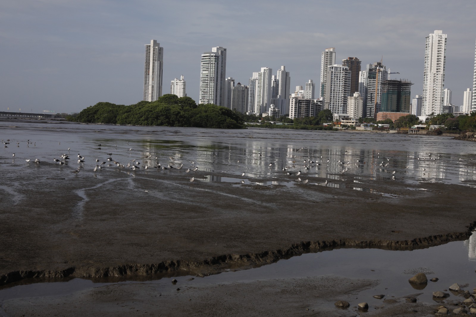 WhatsApp Image 2023 05 18 at 9.08.44 AM