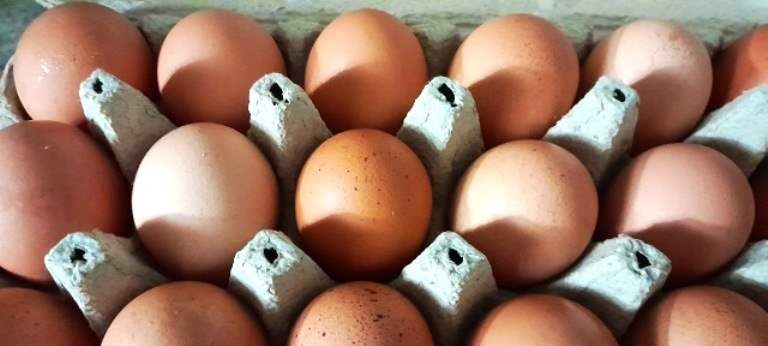 WhatsApp Image 2023 05 19 at 5.32.36 PM