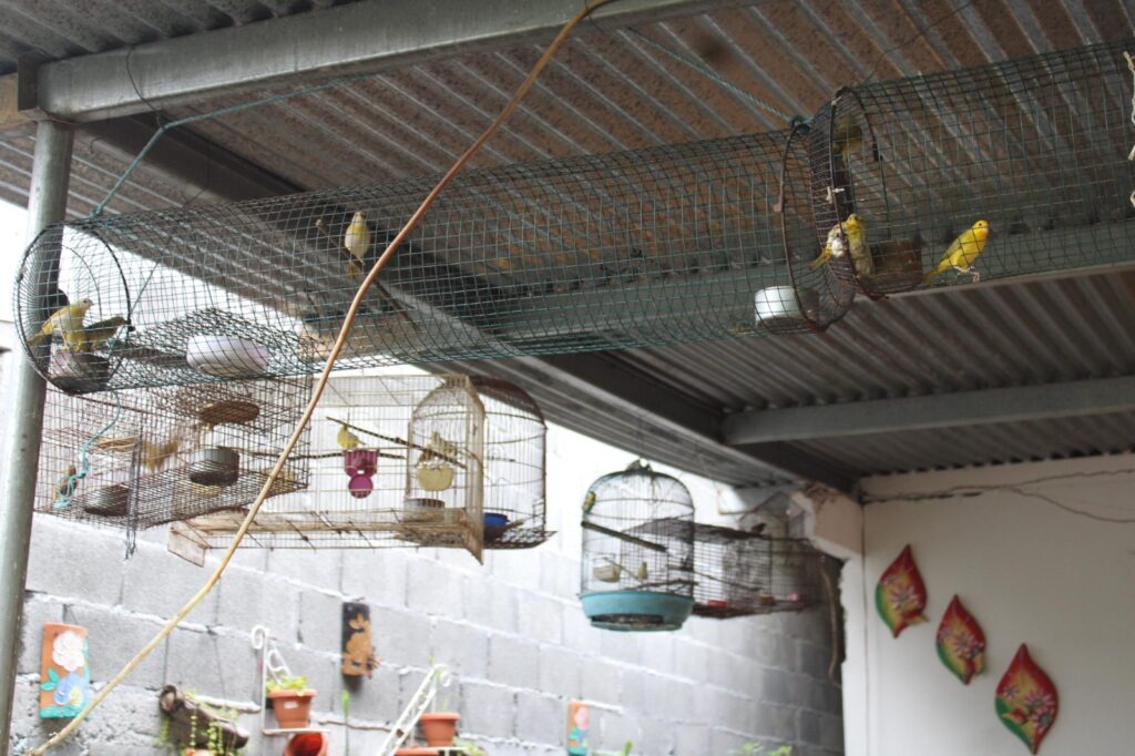 WhatsApp Image 2023 05 29 at 4.09.55 PM