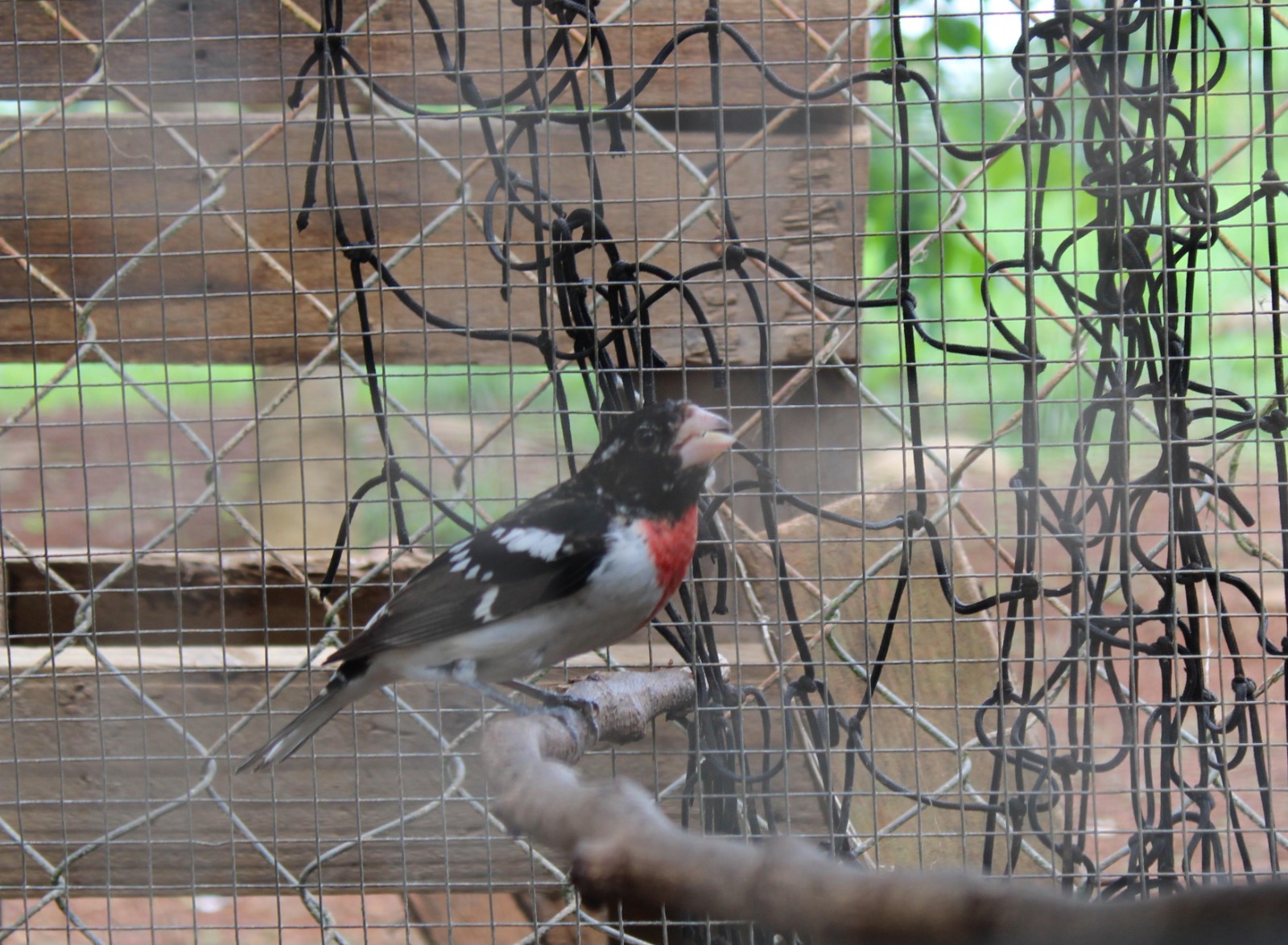 WhatsApp Image 2023 05 29 at 4.09.55 PM 2