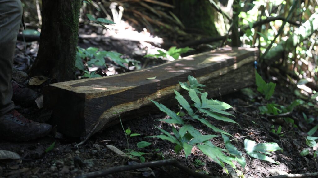 WhatsApp Image 2023 06 01 at 12.22.20 PM 1