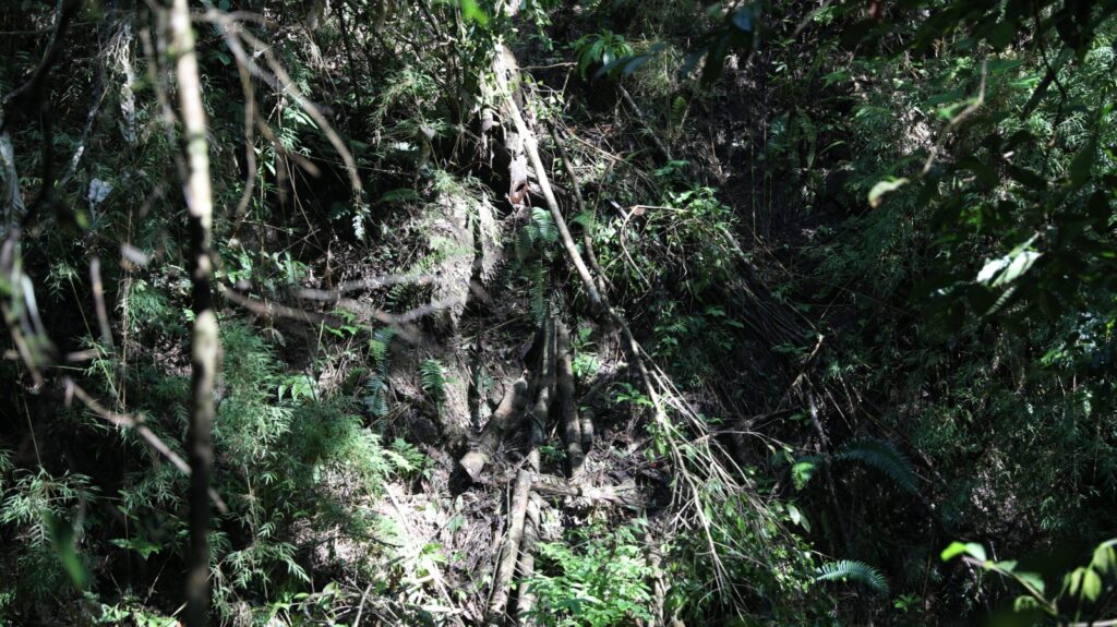 WhatsApp Image 2023 06 01 at 12.22.20 PM