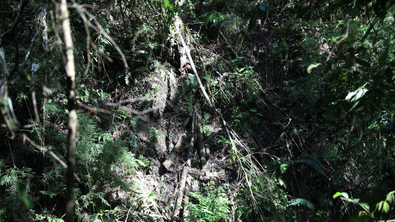 WhatsApp Image 2023 06 01 at 12.22.20 PM