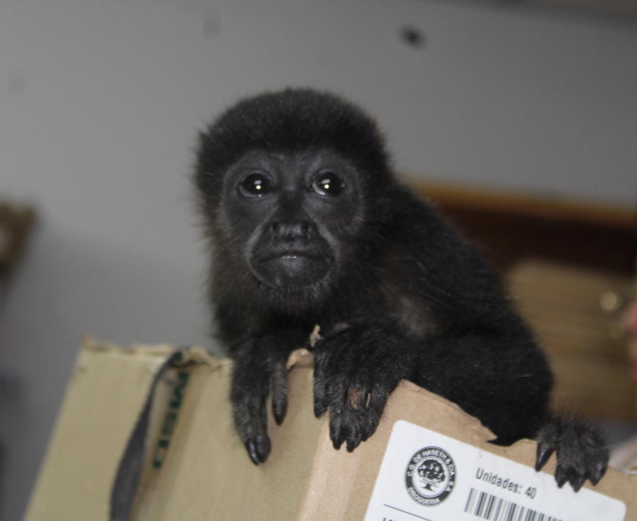 WhatsApp Image 2023 06 03 at 3.06.45 PM