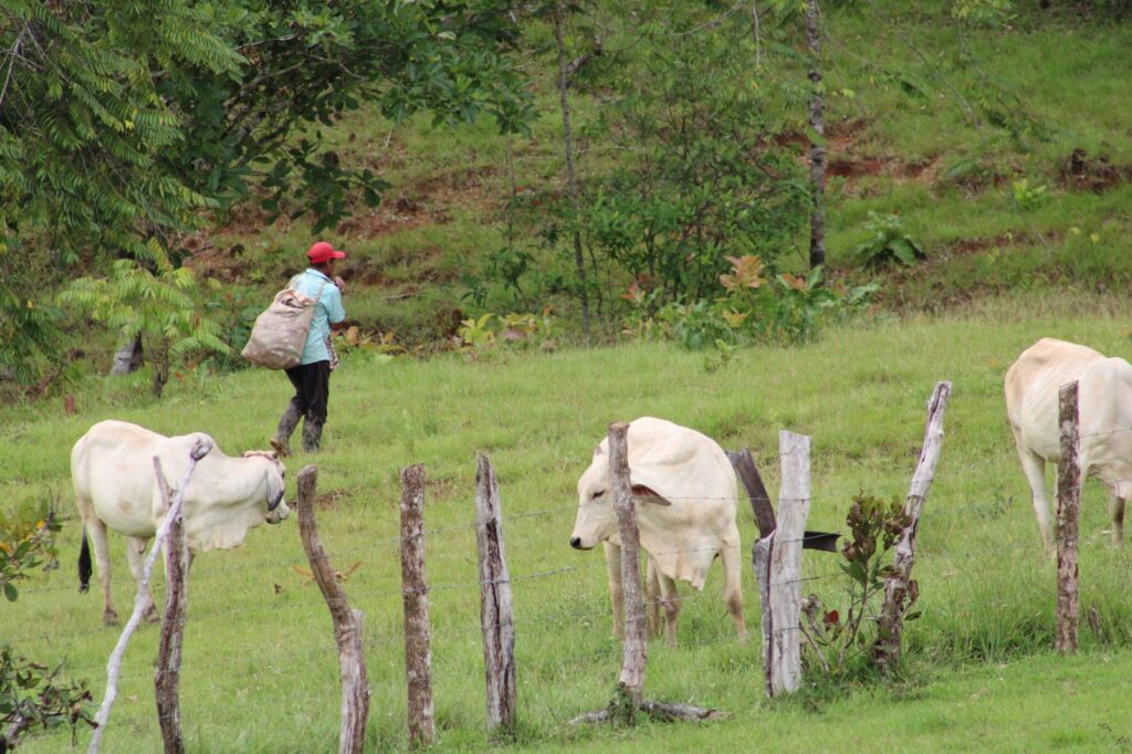 WhatsApp Image 2023 07 16 at 10.38.23 AM