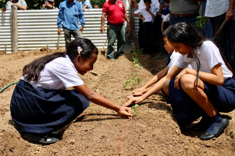 Migración reafirma su compromiso con el Plan Colmena 2 b3ffd3d7 6793 46b5 9429 cb9e2a9d7600 768x512 1