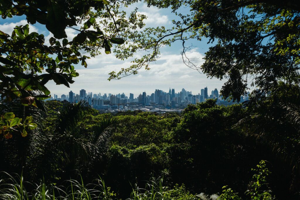 Parque Natural Metropolitano Ciudad de Panama.