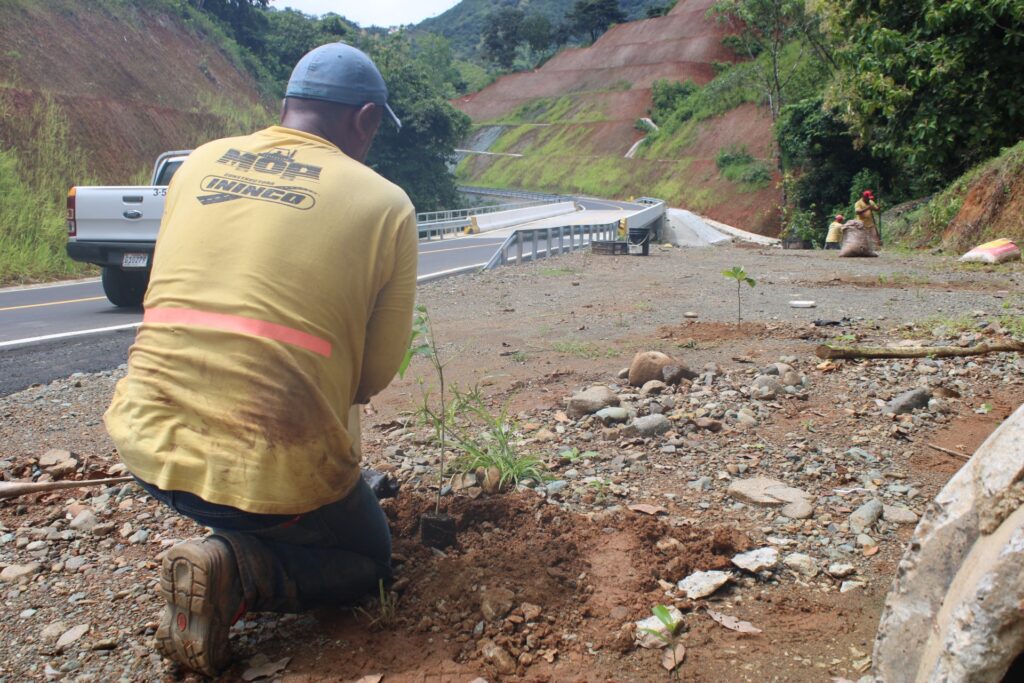 Se desarrolla Plan de Compensación Ambiental en Proyecto San José – Pixvae 3 1 23