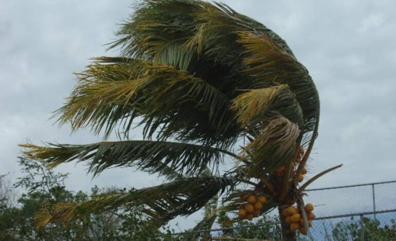 fuertes vientos 770x470 1 1