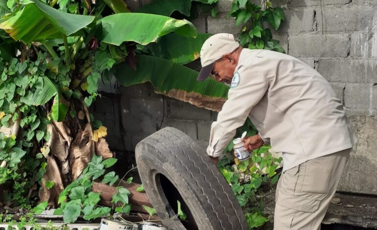 minsanas 1 770x470 1