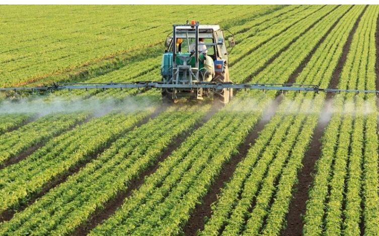 INEC lanza el Portal Agropecuario de Panamá 2 78453 agricultura 753x470 1