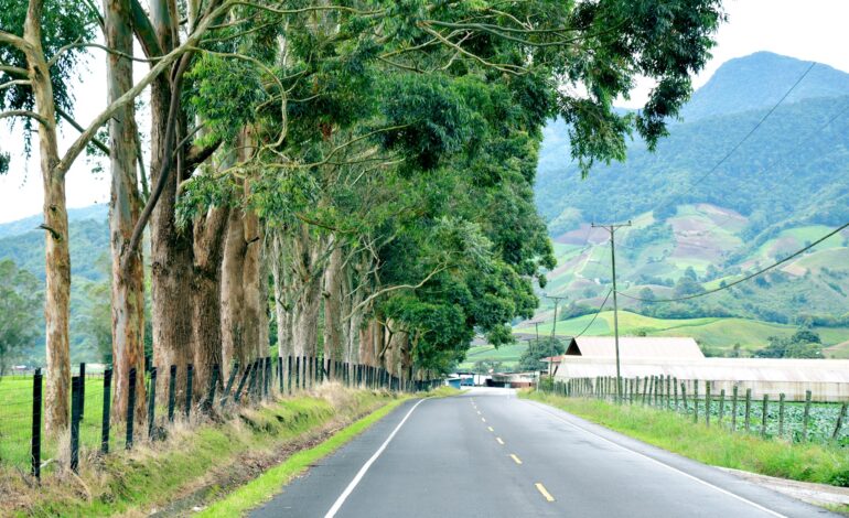 Agro y turismo 770x470 1