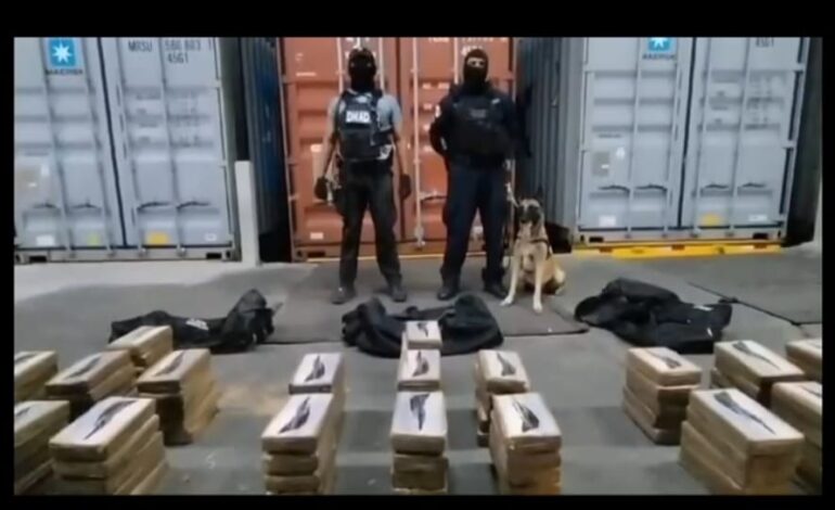 Incautan 100 paquetes de presunta droga ocultos en un contenedor 2 f9f7214a 79d0 4b06 a12d 0ad516b46829 770x470 1